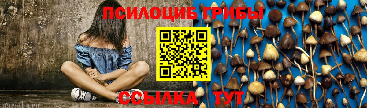 где продают   Галлюциногенные грибы Psilocybine cubensis  Вход с VPN  Галлюциногенные грибы ЛСД  Лосино-Петровский 